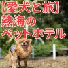 【愛犬と旅】熱海のペットホテル【2017年3月更新】