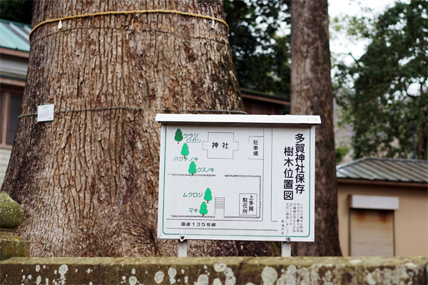 多賀神社 保存樹木位置図