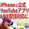【iOS】YouTube公式アプリでiPhoneでの生配信が可能になったゾ！