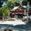 【熱海】来宮神社を360映像で参拝