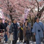 【熱海】夏の日帰りコースを考えてみた~花火大会と浴衣で楽しむ~(2025 年版)
