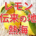 【熱海】レモンの日本伝来の地だった！？