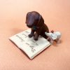 【ペット】愛犬が亡くなったときに知っておきたい手続き・心のケアと具体的な対処法