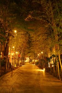 夜の景色もおすすめ